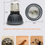 Reptile UVA UVB LED Light Turtle Sunbathe Heat Lamp Full Spectrum 5.0 10.0 Sun Lamp Sunbathe Heat Lamp for Lizard Reptiles
