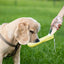 450ml Dog Water Bottle Dispenser Water Bottle Containers for Dogs Puppy Water Leak Proof Drinking Dispenser for Hiking Outdoor