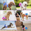 Reusable Dog Diapers Female Easy to Put No Leak Dog Diapers for Heat Cycle Diapers for Dogs Female High Absorbent Puppy Diapers