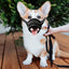 Puppy Accessories Chewing Dog Harness Barking - Essential Accessory Pets Dogs  Lanyard Collar Nylon