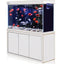 Custom Large Arowana Fish Tank glass fish tank Aquarium