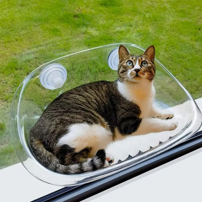Suction Cup Cat Bed Window Indoor Cat Perch Seat Hammock Suction Cup Design Cat Shelves For Marble Smooth Glass And Sheet Metal