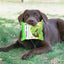 Dog Toy Potato Chip Bag Squeaky Snack Bag Dog Toy Molar Toy Snack Bag Dog Toy Interactive Plush Pet Toy Puppy Teething Toy