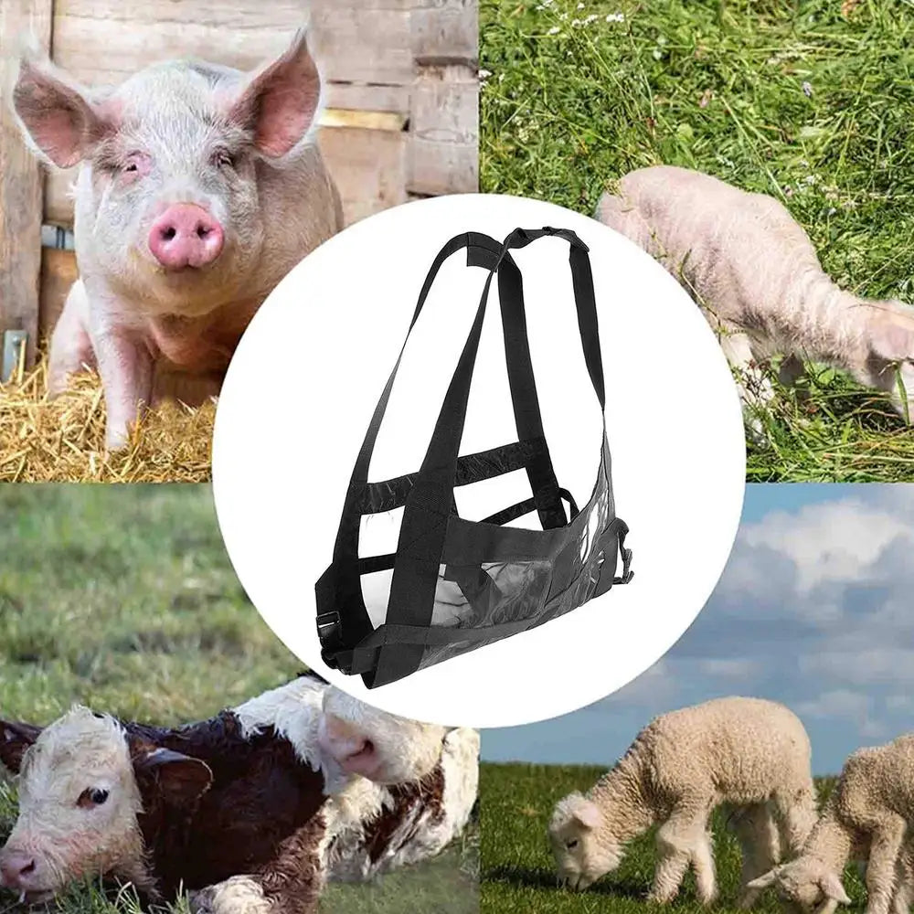 Calf Sling For Weighing Calf Sling For Weighing Little Animals Adjustable Livestock Harness Sling For Lambs Goats Baby Alpacas