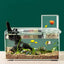 Negative Pressure Fish Tank Clear Fish Elevator Negative Pressure Small Fish Tank Vacuum Suspended Above Water Inverted