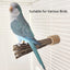 Natural Apple Tree Wood Pet Parrot Raw Wood Fork Tree Branch Stand Rack Squirrel Bird Hamster Branch Perches Chew Bite Toys New