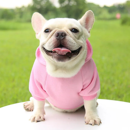 Winter Dog Clothes for Chihuahua Male Christmas Dog Sweatshirt for Bulldog  Hoodie for Large Dogs Pug Dog Accessories Yorkshire