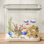 Small Aquarium Small Betta Aquarium Desktop Fish Tank Landscape Turtl Tank Fish Aquarium Tank Decorative Betta Tank For Home