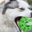 Durable Dog Rope Toys Ball on Rope, Tug of War Dog Toy Interactive Exercise Reward Toy for Medium Small Dogs,Rubber Dog Chew Toy