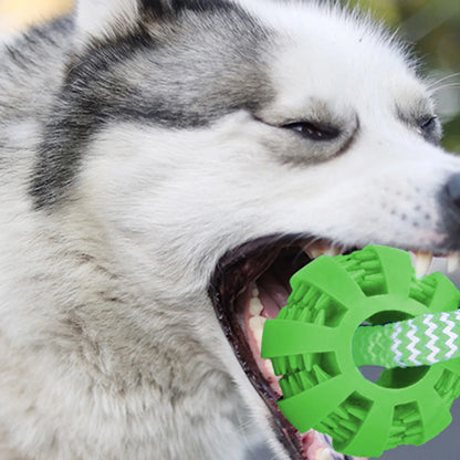 Durable Dog Rope Toys Ball on Rope, Tug of War Dog Toy Interactive Exercise Reward Toy for Medium Small Dogs,Rubber Dog Chew Toy
