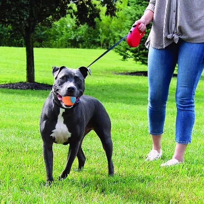 Dogs Interactive Toys Interactive Dog Ball Squeaky Balls Toys Pet Grinding Teeth Toy for Dog Pet Teeth Cleaning Pet Supplies