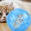 Hamster Exercise Balls With Traction Rope Transparent Hamster Running Ball Wheel Safe Hamster Exercise Balls Pet Supplies