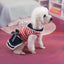 Puppy Dog Pet Stripe Costume Princess Dress Lace Pleated Lapel Stripe Bownot Princess Dress Denim Skirt XS-L Pet Supplies
