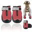 UXCELL 4pcs Fashion Dog Shoes Breathable Dog Boots Paw Protectors Summer Casual Silod Pet Shoes Outdoor Walking Sportwear