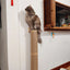 Cat Scratching Post Wall Furniture Wood Wall Mounted Kitten Scratcher Tree for Large Cats Thicker Columns for Multi-Functions