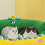 Zeze green lush pet bed cat litter all seasons removable dog litter teddy bear small dog warm sofa