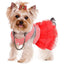 Princess Dog Dress for Small Dogs, Chihuahua Yorkie Layer Stripe Mesh Tutu Skirt Puppy Summer Clothes Pet Bowknot Dresses