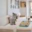 Dog Food Puzzle Feeder Puppy Treat Toy Food Dispenser Interactive Dog Toy Slow Feeder For IQ Training Treat Dispensing Aid Pets