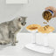 Cat Dishes For Food And Water Height Adjustable Pets Water And Food Bowl Set Large Capacity Cat Food Feeder And Waterer Set For