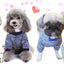 Dog Autumn/Winter Sweatshirt Colorful Thickened Soft And Warm Pet Pullover Clothes Classic Fashion Jacket For Cats And Dogs