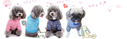 Dog Autumn/Winter Sweatshirt Colorful Thickened Soft And Warm Pet Pullover Clothes Classic Fashion Jacket For Cats And Dogs