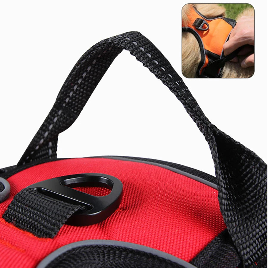 Dog leash, chest and back, large dog walking leash, medium to large explosion-proof sling, chest and back
