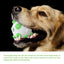 Puppy Teething Toys Fun Tough Innovative Chew Toys Rubber Dog Toys Gentle Professional Puppy Dog Chew Toys For Teething