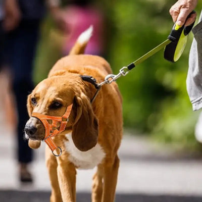 Mouth Leashes for Dogs Padded Adjustable Dog Head Harness Leader Leashes for Dog over Mouth Training Leashes Dog Head Collar