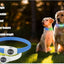 New Led Luminous Dog Collar PVC Waterproof , For Large Medium Small Dogs Collar Usb Light Night Safety Pet Glowing Accessories
