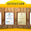 British market national hive UK beehives