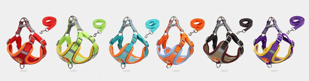 Step-in Dog Harness Small Dog Harness and Leash Set Adjustable Reflective Pet Dog Vest Soft Harness for Puppy Small Medium Breed