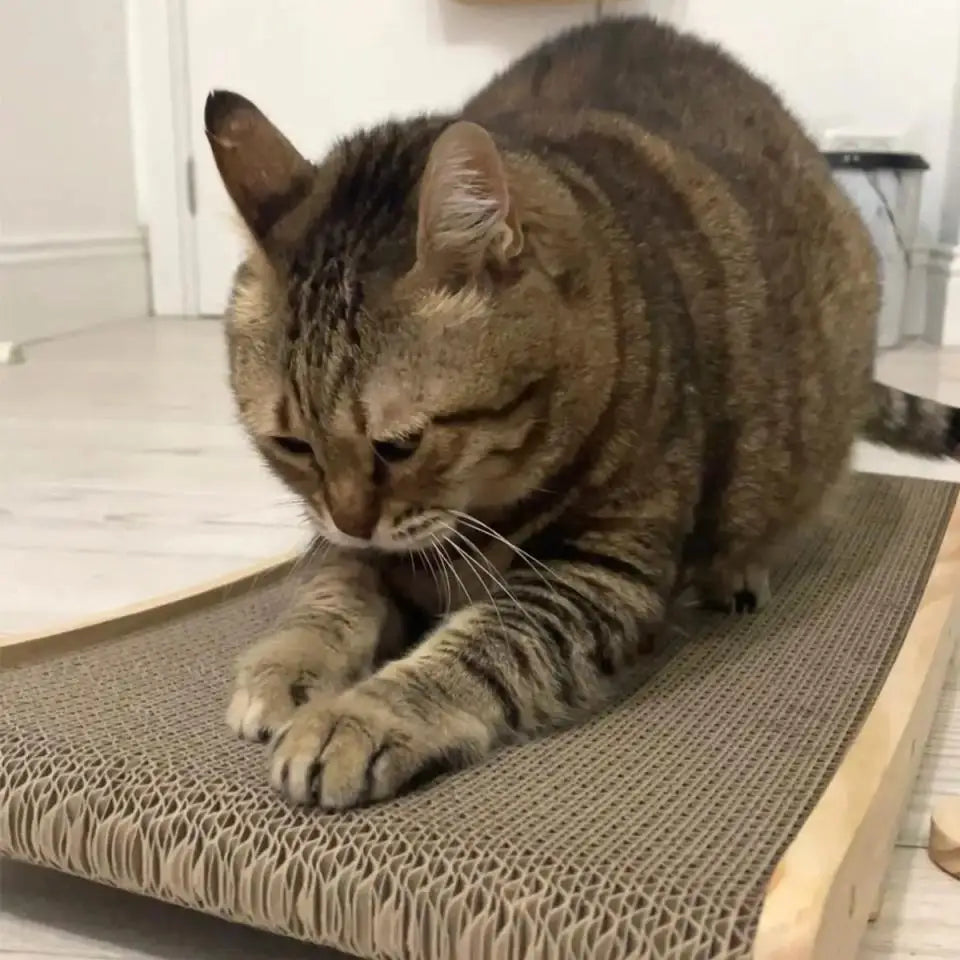 Cat Scratcher Wooden Frame Detachable Scrapers Bed 3 In 1 Cat Scratch Board Toys Training Grinding Claw for Cats Lounge Bed