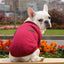 Pet Dog Clothes Knitwear Dog Sweater Soft Thickening Warm Pup Dogs Shirt Winter Puppy Sweater for Dogs Casual Pet Cat Clothing