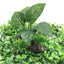 Beautiful Simulation Artificial  Aquarium Plastic Plants Decoration Aquatic Fish Tank Ornaments Water Grass Landscape Decor