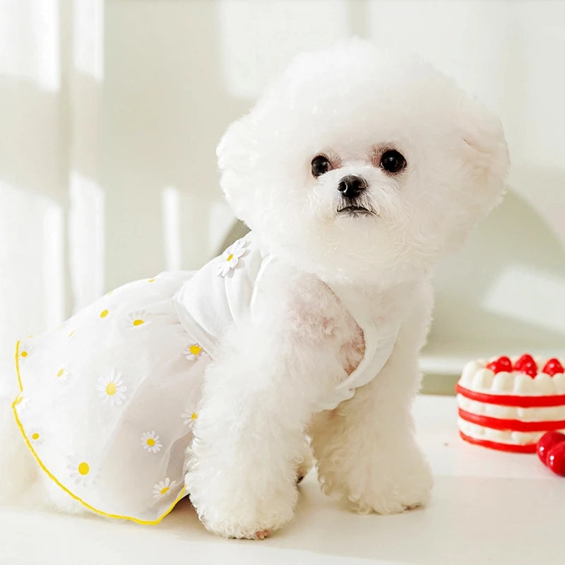 Dog Strawberry Skirt Puppy Summer Clothes Cute Lace Dog Clothing 2024 Chihuahua French Bulldog Dog Suspenders Girls Dog Costume