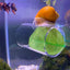 Betta Acrylic Tube Betta Fish Resting Tube Safe Enrichment Acrylic Tube Multifunctional Betta Tunnel Swim Tube Smooth