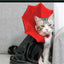 Cat Halloween Costume Pet Cloak Red Black Kitten Cape Pet Puppy Apparel Halloween Party Costume for Small Dogs Cats Accessories