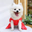 Summer Pet Dog Skirt Puppy Striped Butterfly Skirt Princess Baby Dog Wedding Midi Dress Cat Skirt Shih Tzu Dog Clothes for Party