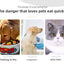 Pet Suction Cup Lick Pad Pet Lunch Mat Slow Food Pad for Cats and Dogs Powerful Suction Cup Easy To Wash Silicone Material
