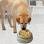 Cat Bowl Non-Slip Pet Stainless Steel Food Bowls Ergonomic Design Cat Dog Food Bowl with 15 Degree Oblique Mouth Puppy Feeding