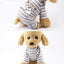 Summer Dog Clothes Puppy Pet Clothes Fashion Clothing For Small Medium Dogs Winter Chihuahua Clothes Classic Outfit Ropa Perro