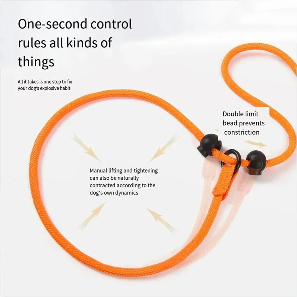 Dog Slip Lead Dog Cinch Leash with Padded Handle No-Pull Dog Slip Leash and Collar Heavy Duty & Durable for All Breeds Training