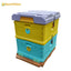 Benefitbee beehive factory 10 frames multifunction Langstroth 2 layers plastic bee hive