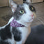 Small Dog Cat Bandana Collar Adjustable Puppy Dog Kitten Neckerchief PU Collar with Printed Triangular Scarf Pet Collar for Cat