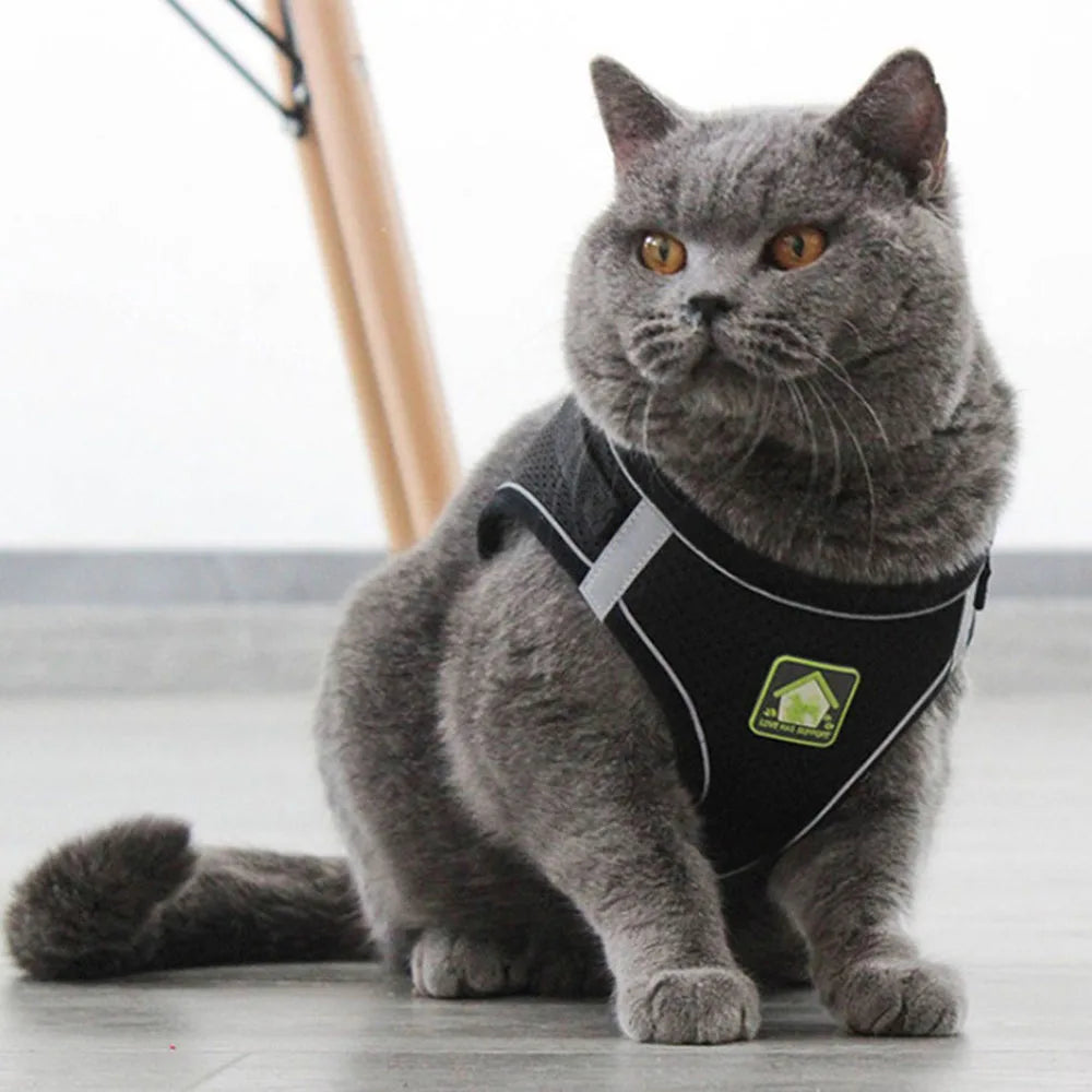 Breathable Cat Harness with Leash Anti-Escape Cat Vest Harness Collar for Kitten Pet Accessories Adjustable Puppy Harness Leads