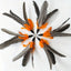 6 PCS Cat Toy Feather Replacement Cat Wand Refills Natural Bird Feathers Refill, Replacement Feathers Cat Toy for Indoor Cats