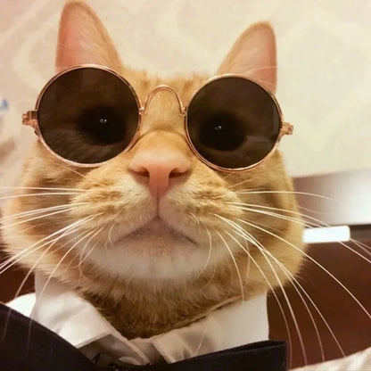 Anti-slip Cat Sunglasses Pet Accessories Small Dog Sun Glasses Classic Retro Circular Glasses for Kitten Photos Props Cosplay