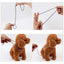 Dog P Chrome Plated Metal Dog Training Choke and Collar, Fully Guaranteed, Against Rust Tarnish or Breakage, Recommended