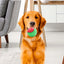 Dogs Interactive Toys Interactive Dog Ball Squeaky Balls Toys Pet Grinding Teeth Toy for Dog Pet Teeth Cleaning Pet Supplies