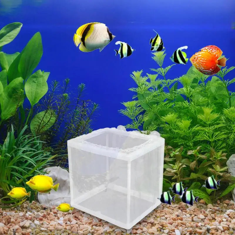 Fish Breeder Box with Suction, Aquarium Hatcher, Mesh Box, Juvenile Fish Separation Net, Tank Incubator Box, Fry Hatchery, DIY
